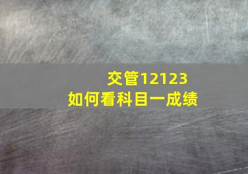 交管12123如何看科目一成绩