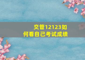 交管12123如何看自己考试成绩