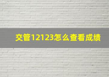 交管12123怎么查看成绩