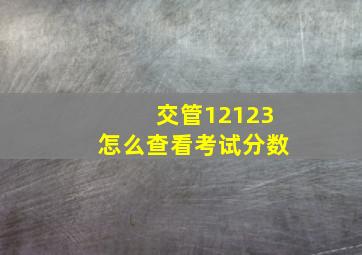 交管12123怎么查看考试分数