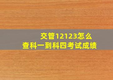 交管12123怎么查科一到科四考试成绩