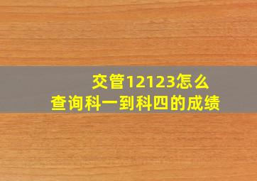 交管12123怎么查询科一到科四的成绩