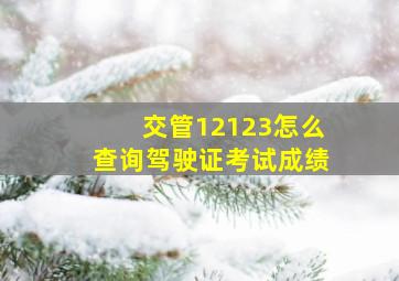 交管12123怎么查询驾驶证考试成绩