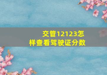 交管12123怎样查看驾驶证分数