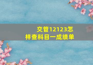 交管12123怎样查科目一成绩单