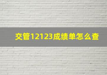 交管12123成绩单怎么查