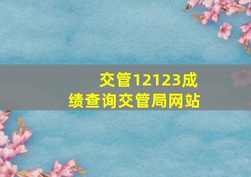 交管12123成绩查询交管局网站