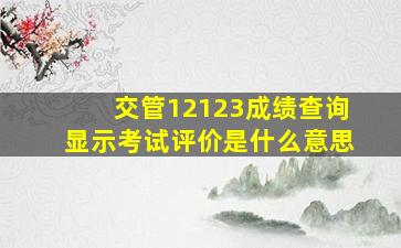 交管12123成绩查询显示考试评价是什么意思