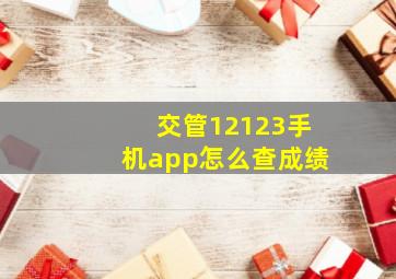 交管12123手机app怎么查成绩