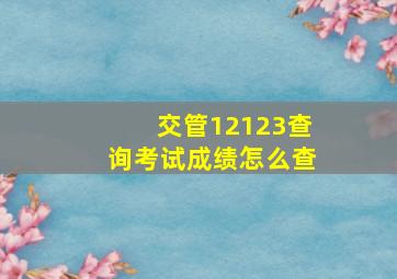 交管12123查询考试成绩怎么查