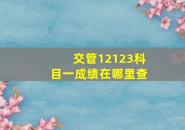 交管12123科目一成绩在哪里查