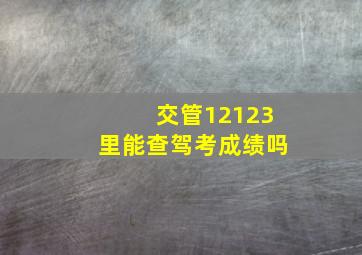 交管12123里能查驾考成绩吗