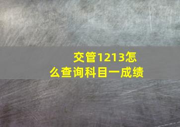 交管1213怎么查询科目一成绩