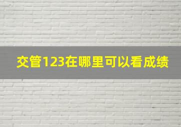 交管123在哪里可以看成绩