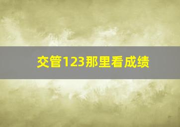 交管123那里看成绩