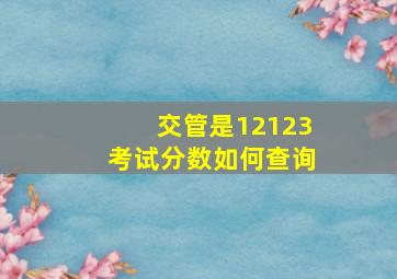 交管是12123考试分数如何查询