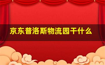 京东普洛斯物流园干什么