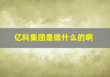 亿科集团是做什么的啊