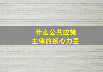 什么公共政策主体的核心力量