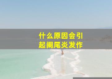 什么原因会引起阑尾炎发作