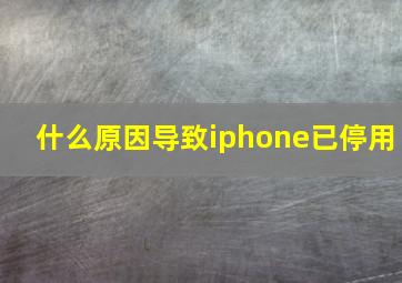 什么原因导致iphone已停用