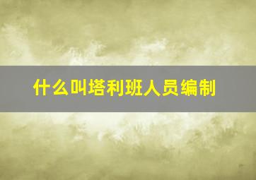 什么叫塔利班人员编制