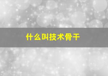 什么叫技术骨干