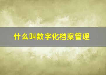 什么叫数字化档案管理