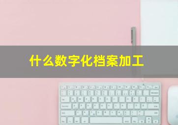 什么数字化档案加工