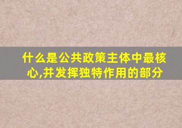 什么是公共政策主体中最核心,并发挥独特作用的部分