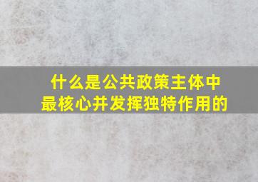 什么是公共政策主体中最核心并发挥独特作用的