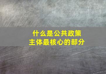 什么是公共政策主体最核心的部分