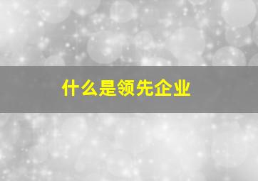 什么是领先企业