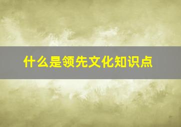 什么是领先文化知识点