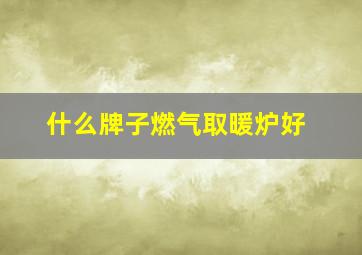 什么牌子燃气取暖炉好