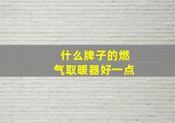 什么牌子的燃气取暖器好一点