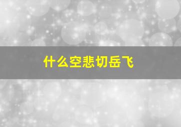 什么空悲切岳飞