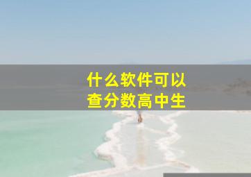 什么软件可以查分数高中生