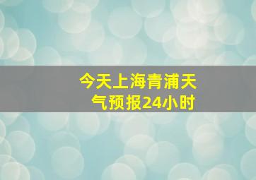 今天上海青浦天气预报24小时