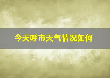 今天呼市天气情况如何