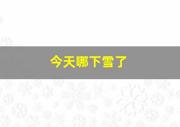 今天哪下雪了