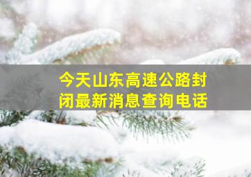 今天山东高速公路封闭最新消息查询电话