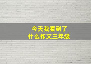 今天我看到了什么作文三年级