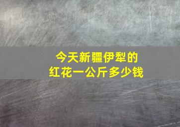 今天新疆伊犁的红花一公斤多少钱