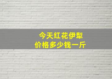 今天红花伊犁价格多少钱一斤