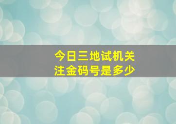 今日三地试机关注金码号是多少