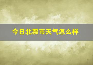 今日北票市天气怎么样