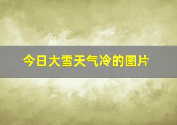 今日大雪天气冷的图片