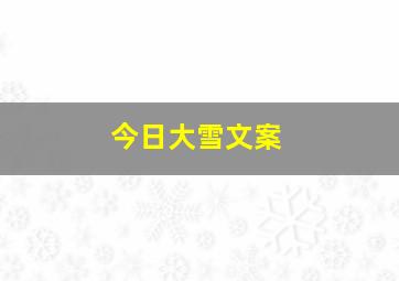 今日大雪文案