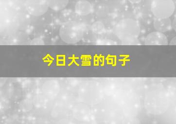 今日大雪的句子